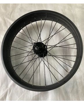 Ruota a raggi bici 20X4 FAT anteriore con sgancio rapido e attacco freno a disco