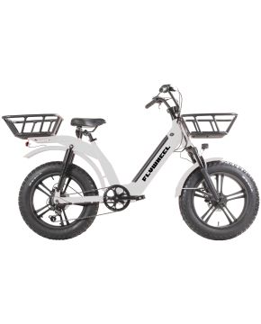 Bici cargo e-bike fat in alluminio 20 6 Velocità disk full ammortizzata bianca